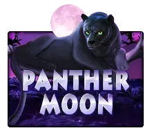Panther Moon สล็อตออนไลน์ธีมเสือดำและป่ากลางคืน